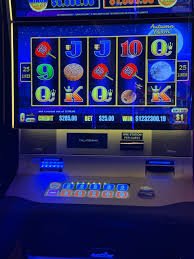 mega cricket Sportsbook